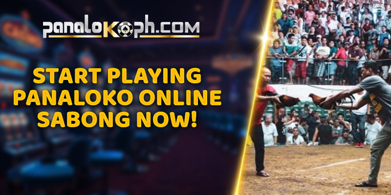 Start Playing Panaloko Online Sabong Now!
