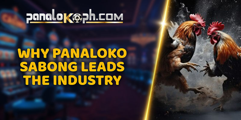 Why Panaloko Sabong Leads the Industry