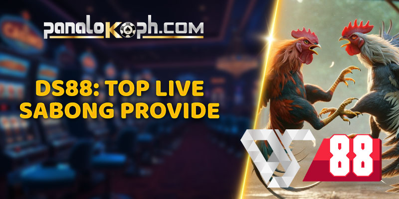 DS88: Top Live Sabong Provider