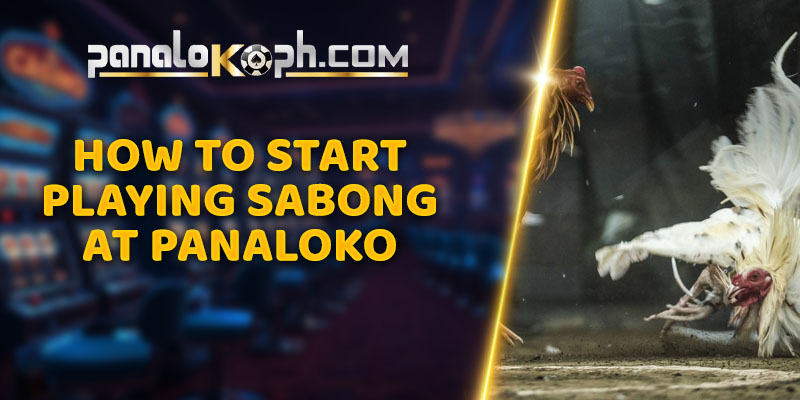 How to Start Playing Sabong at Panaloko