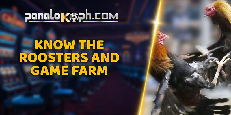 Know the Roosters and Game Farm