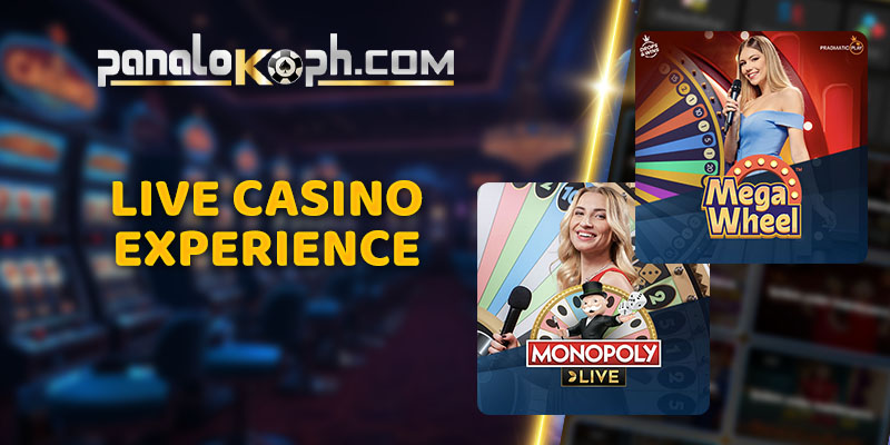 Live Casino Experience