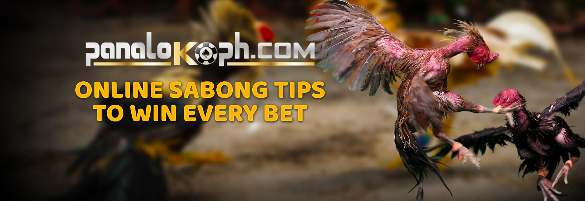 Online Sabong Tips to Win Every Bet