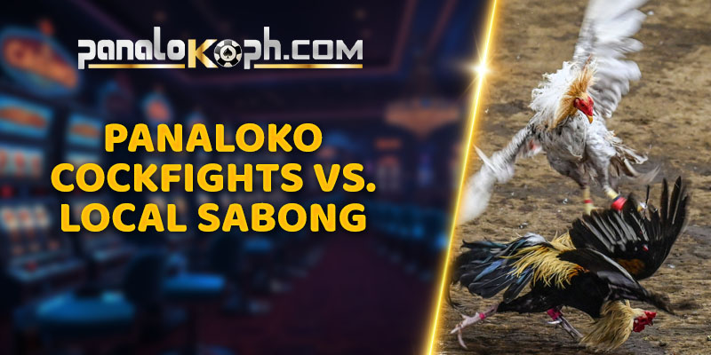 Panaloko Cockfights vs. Local Sabong