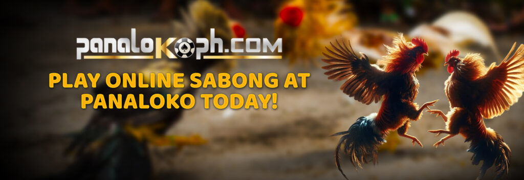 Play Online Sabong at Panaloko Today!