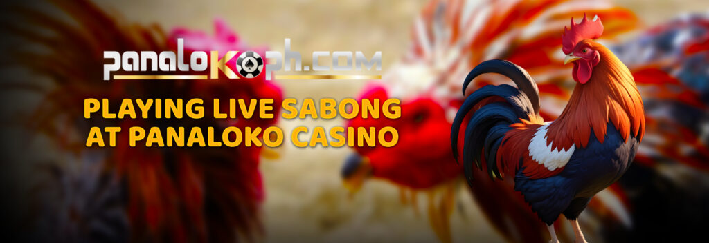 Playing Live Sabong at Panaloko Casino