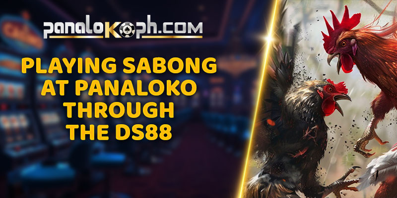 Playing Sabong at Panaloko through the DS88