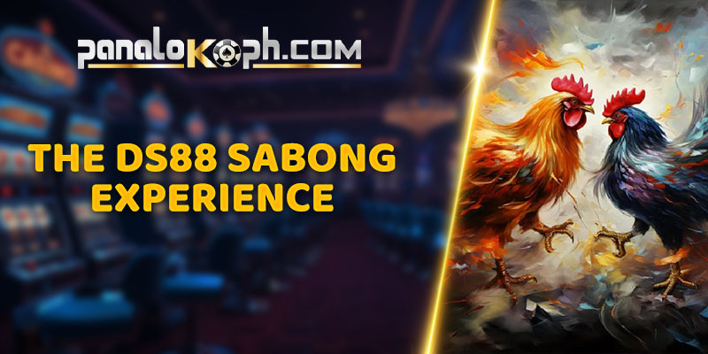 The DS88 Sabong Experience